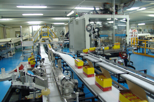Packaging robot